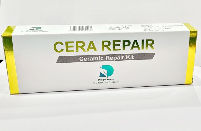 Ceramic Repair Kit